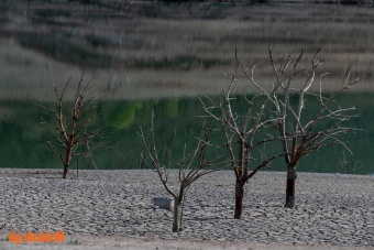 كتالونيا تواجه أسوأ موجة جفاف منذ عقود .. امتلاء 26 % من خزانات المياه فقط