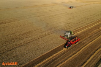 «سموم الحبوب» الأوكرانية تثير جدلا في التشيك .. وزير الزراعة يعارض الحظر