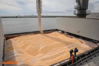 المفوضية الأوروبية تعتزم تطبيق إجراءات حماية استثنائية للقمح .. الحبوب الرخيصة تشوه السوق