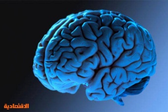 دراسة جديدة تشرح طريقة تخزين المخ للذكريات