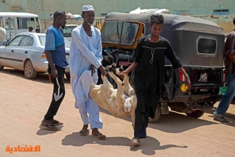 الحرب تحرم السودانيين من خروف العيد 