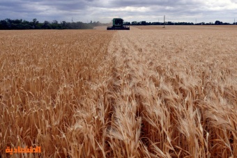 أسعار القمح تتراجع 3% بعد محاولات أوكرانيا إحياء اتفاق تصدير الحبوب 