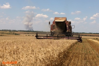 ارتفاع متوقع لمحصول القمح الروسي إلى 85.7 مليون طن في 2023