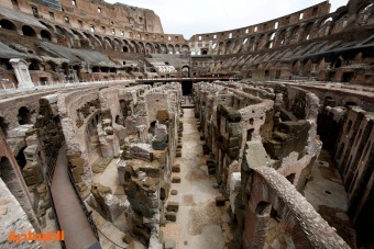 روما تنتفض لتطهير منطقة الكولوسيوم التاريخية من الفئران