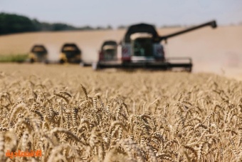 الأمن الغذائي: صرف 103 ملايين ريال مستحقات الدفعة 14 لمزارعي القمح المحلي
