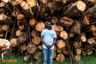 إلغاء حظر قطع الأشجار يقسم كينيا 