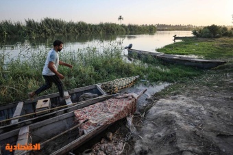 العراق يحد من مزارع تربية الأسماك لترشيد استخدام المياه في مواجهة الجفاف