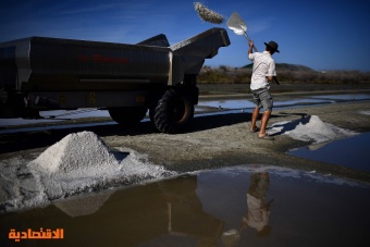 جمع الملح في فرنسا