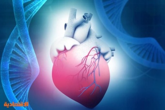 فحص جيني جديد يساعد في التنبؤ بمخاطر الإصابة بأمراض القلب لدى المجتمعات العربية