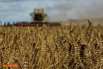 الاتحاد الأوروبي يوافق على تشديد القيود على الواردات الزراعية الأوكرانية 